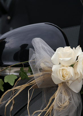 <img src="/images/uploads/accueil/icone-Mariages-evenements.png">